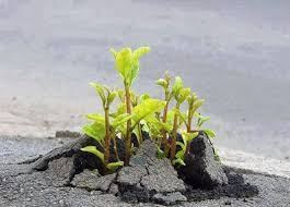 9 صور بألف كلمة ... شاهدها 